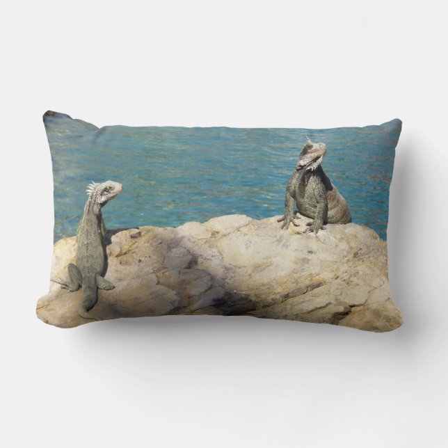 Pair of Iguanas Tropical Wildlife Photography Lumbar Pillow (Front)