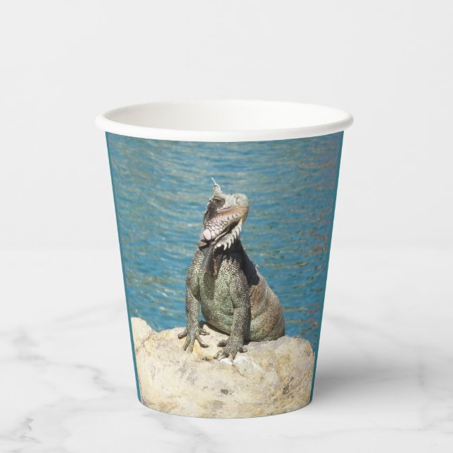 Pair of Iguanas Tropical Wildlife Photography Paper Cups (Front)