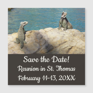 Pair of Iguanas Tropical Wildlife Save the Date