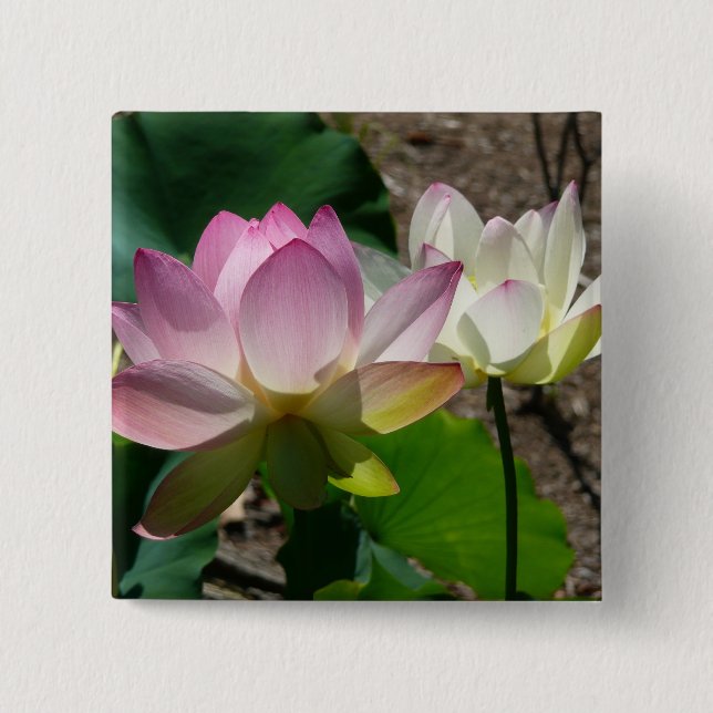 Pair of Lotus Flowers I 2 Inch Square Button (Front)