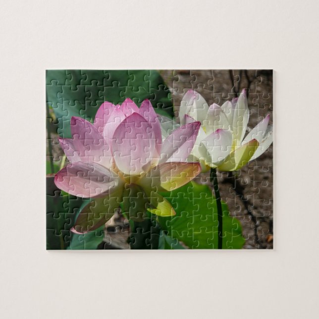 Pair of Lotus Flowers I Jigsaw Puzzle (Horizontal)