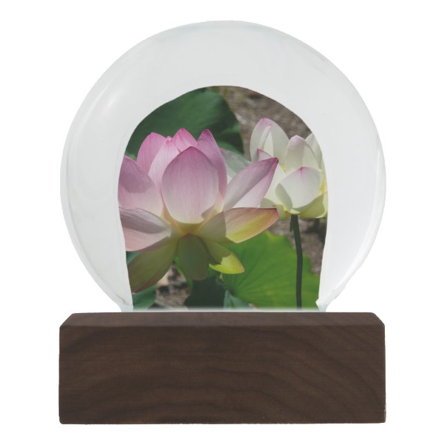 Pair of Lotus Flowers I Snow Globe (Front)