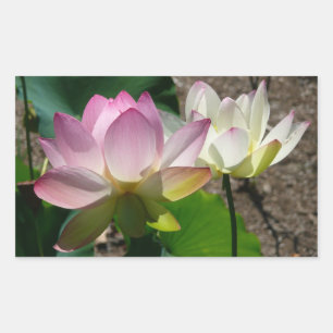 Pair of Lotus Flowers I Sticker