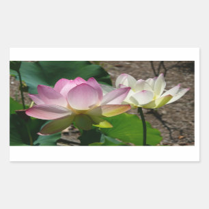 Pair of Lotus Flowers I Sticker