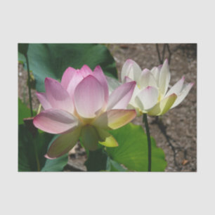 Pair of Lotus Flowers I Tissue Paper