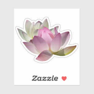 Pair of Lotus Flowers II