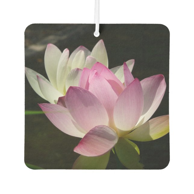 Pair of Lotus Flowers II Air Freshener (Front)