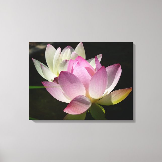 Pair of Lotus Flowers II Canvas Print (Front)
