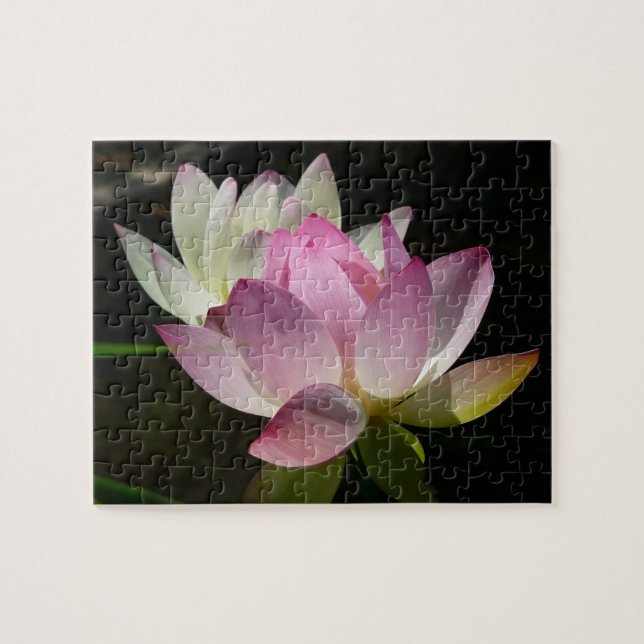 Pair of Lotus Flowers II Jigsaw Puzzle (Horizontal)