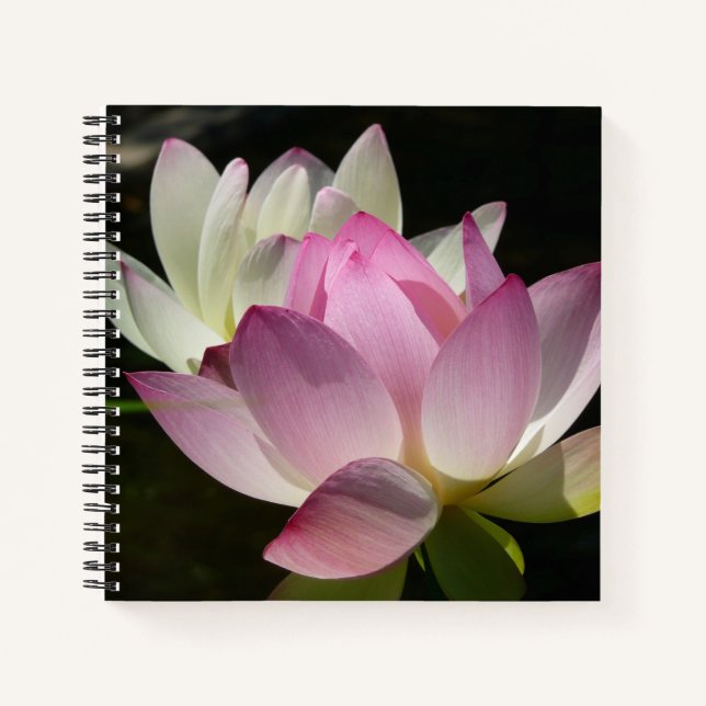 Pair of Lotus Flowers II Notebook (Front)