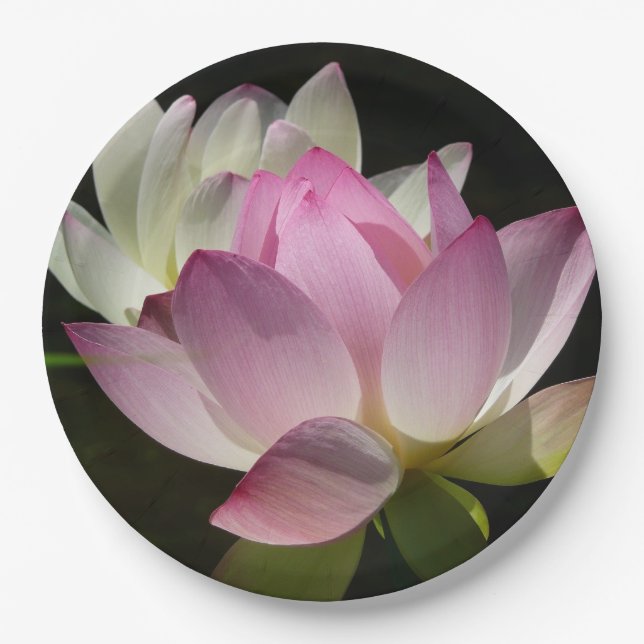 Pair of Lotus Flowers II Paper Plate (Front)