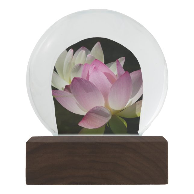 Pair of Lotus Flowers II Snow Globe (Front)