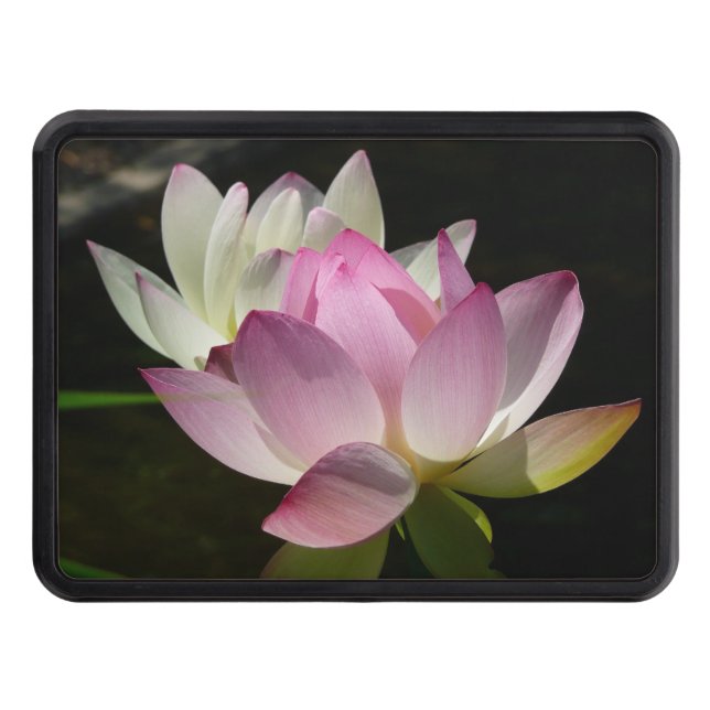 Pair of Lotus Flowers II Trailer Hitch Cover (Front)