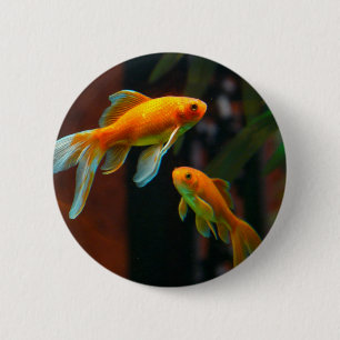Pair of Lucky Goldfish 2 Inch Round Button