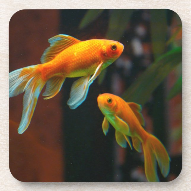 Pair of Lucky Goldfish Coaster (Front)