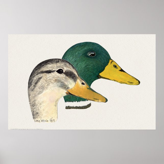 Pair of Mallard Ducks (Drake and Hen) Poster (Front)