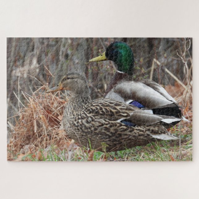 Pair of Mallard Ducks Jigsaw Puzzle (Horizontal)