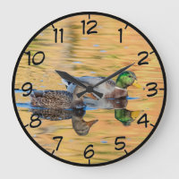 Pair of Mallards