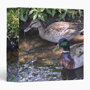 Pair of Mated Mallard Ducks Binder