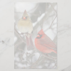 Pair Of Northern Cardinals