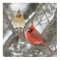 Pair Of Northern Cardinals