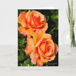 Pair Of Orange Rose Blossoms Card