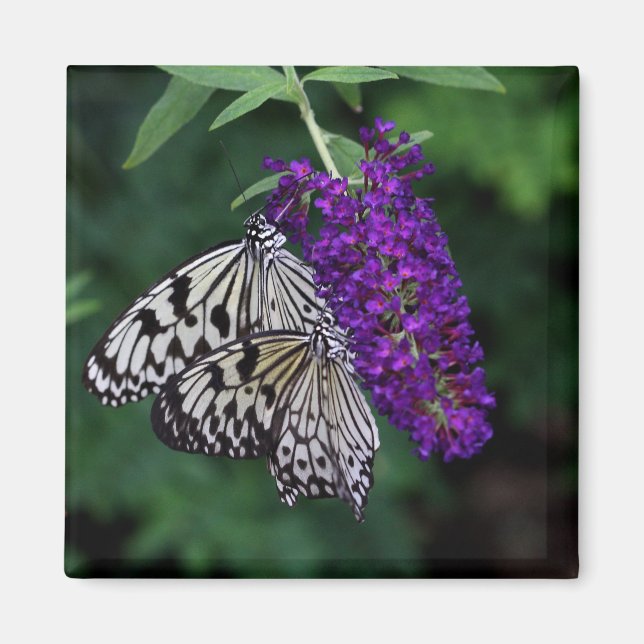 Pair of Paper Kites Magnet (Front)