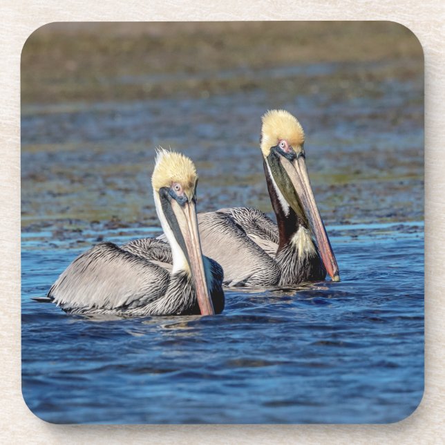 Pair of Pelicans Coaster (Front)