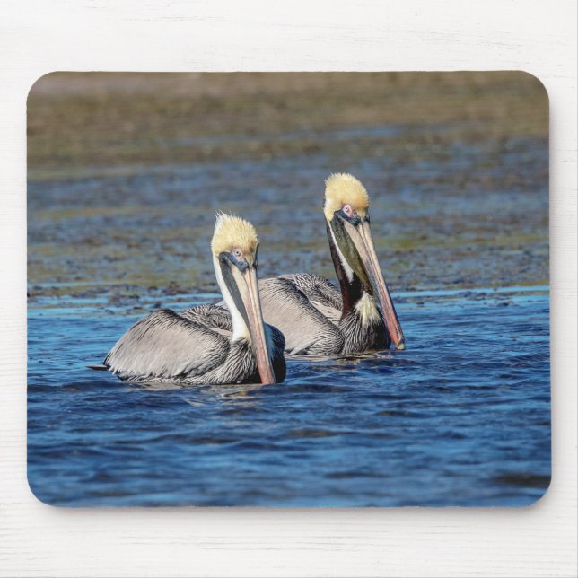 Pair of Pelicans Mouse Pad (Front)