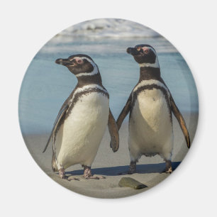 Pair of penguins on the beach magnet