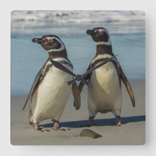 Pair of penguins on the beach square wall clock