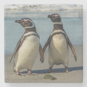 Pair of penguins on the beach stone coaster