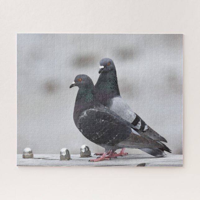 Pair of Pigeons Jigsaw Puzzle (Horizontal)