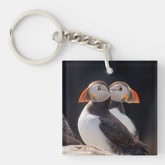 Pair of Puffins Keychain (Front)
