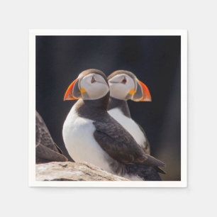 Pair of Puffins Napkin