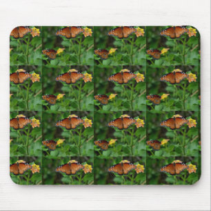 Pair of Queen Butterflies Mouse Pad