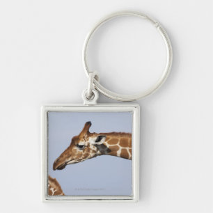 Pair of Reticulated Giraffes (Giraffa Keychain