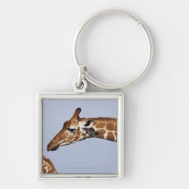 Pair of Reticulated Giraffes (Giraffa Keychain (Front)