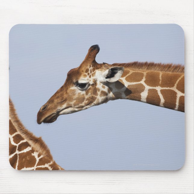 Pair of Reticulated Giraffes (Giraffa Mouse Pad (Front)