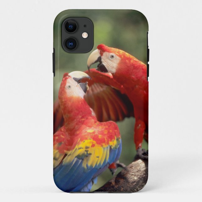 Pair of Scarlet Macaws Case-Mate iPhone Case (Back)