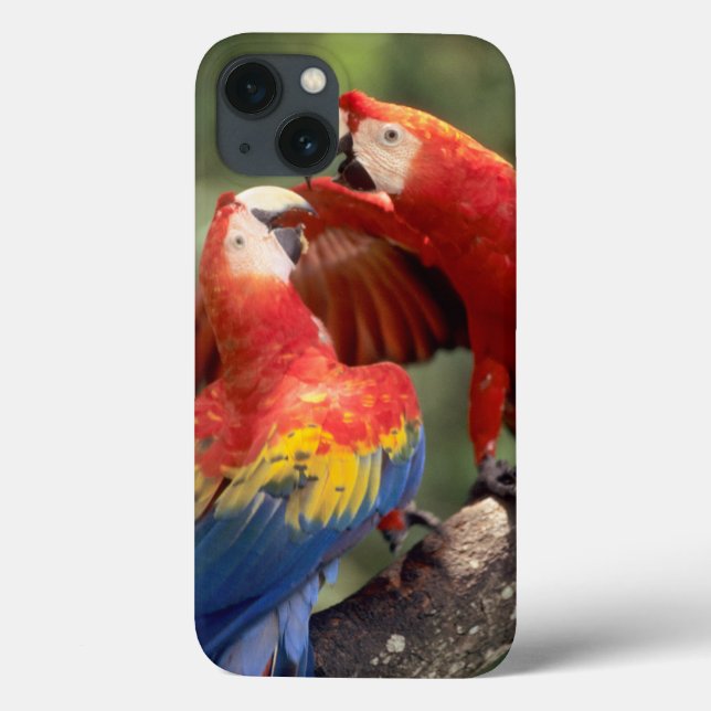 Pair of Scarlet Macaws Case-Mate iPhone Case (Back)