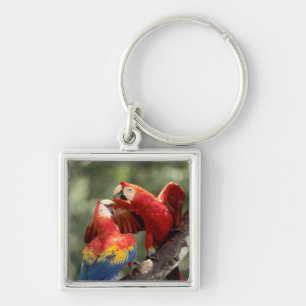 Pair of Scarlet Macaws Keychain