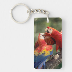 Pair of Scarlet Macaws Keychain