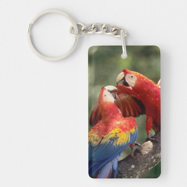 Pair of Scarlet Macaws Keychain (Front)