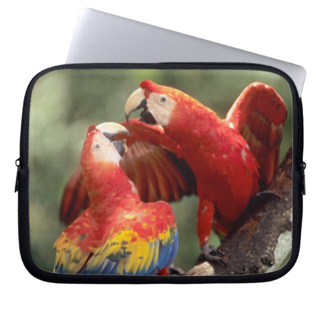 Pair of Scarlet Macaws Laptop Sleeve (Front)