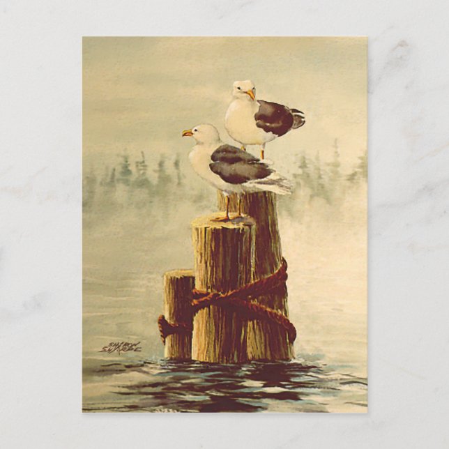 PAIR of SEAGULLS by SHARON SHARPE Postcard (Front)