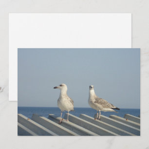 Pair of Seagulls Holiday Card