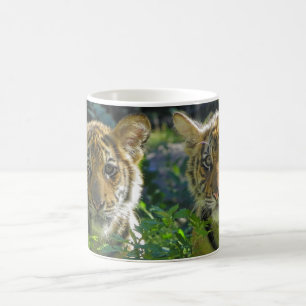 Pair of Tiger Cubs Portrait Coffee Mug