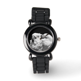 Pair of umbrella cockatoos watch