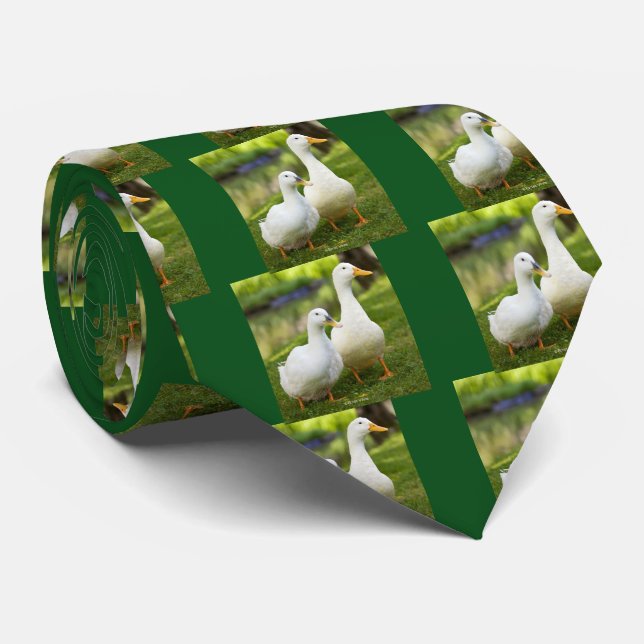 Pair of white domesticated ducks tie (Rolled)